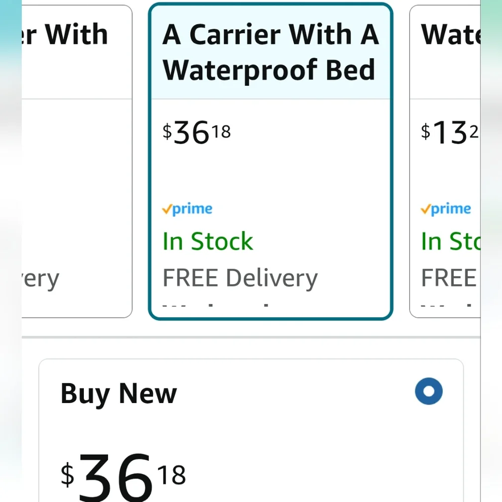 Cat/Small Animal Carrier And Bed